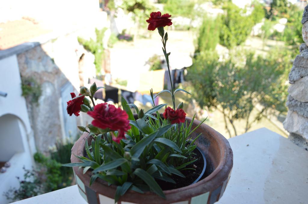 Central Adria Apartma Rovinj